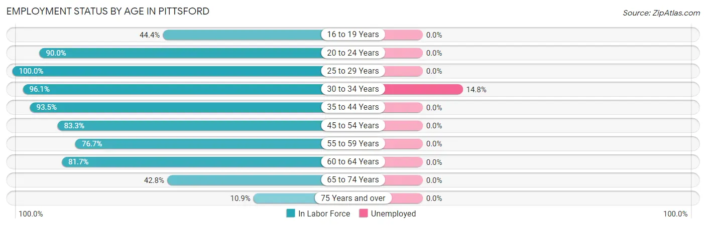 Employment Status by Age in Pittsford
