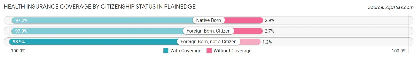 Health Insurance Coverage by Citizenship Status in Plainedge