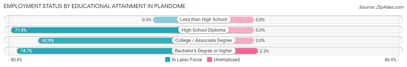 Employment Status by Educational Attainment in Plandome