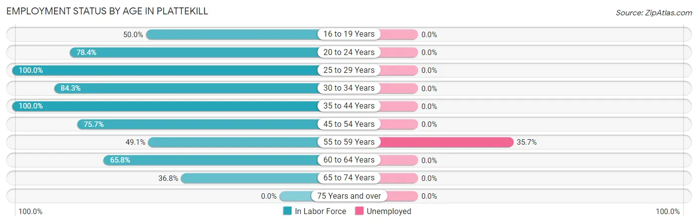Employment Status by Age in Plattekill