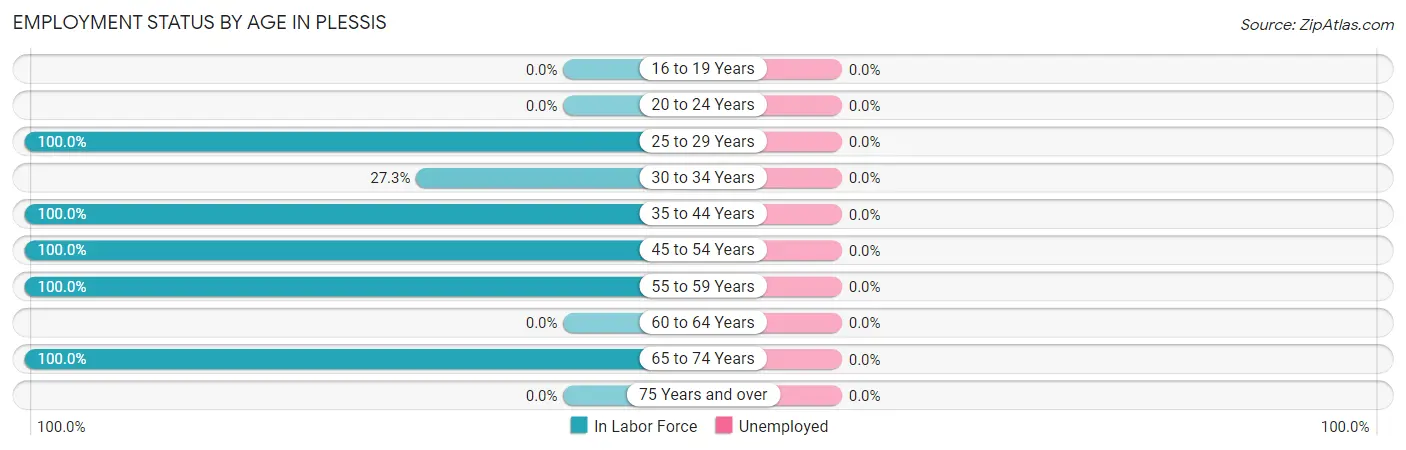 Employment Status by Age in Plessis