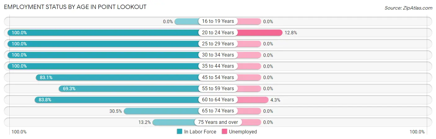 Employment Status by Age in Point Lookout