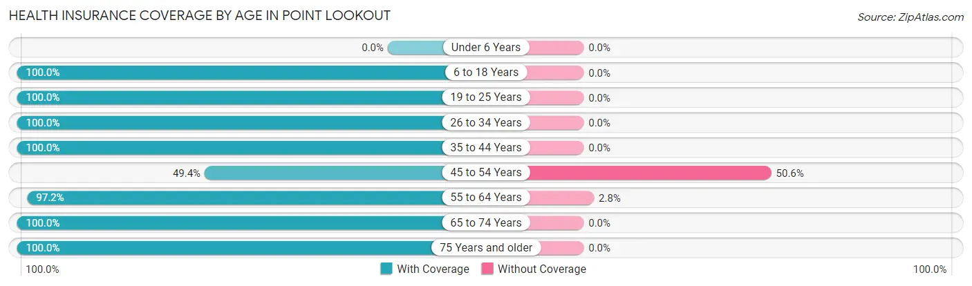 Health Insurance Coverage by Age in Point Lookout