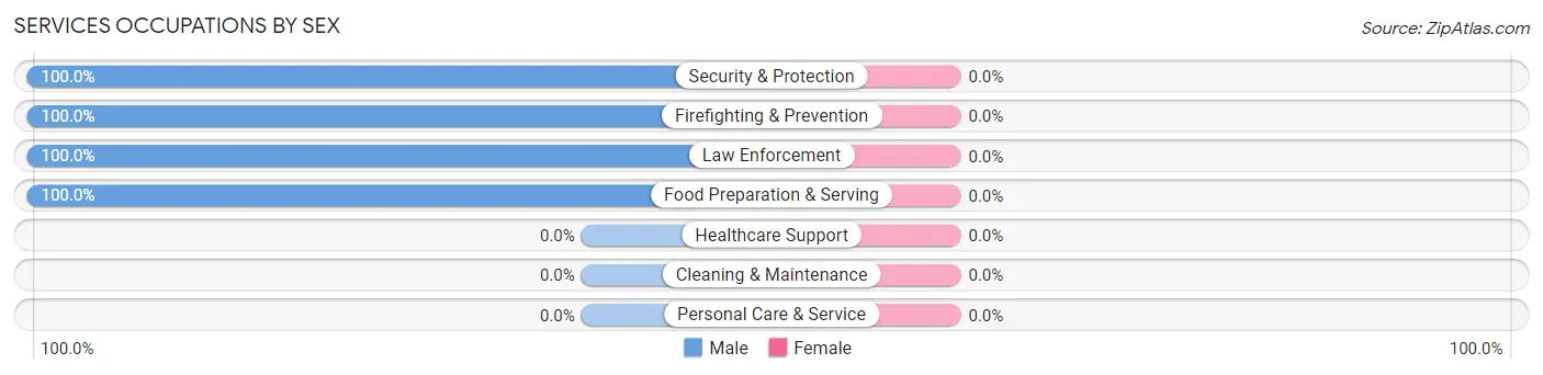 Services Occupations by Sex in Point Lookout