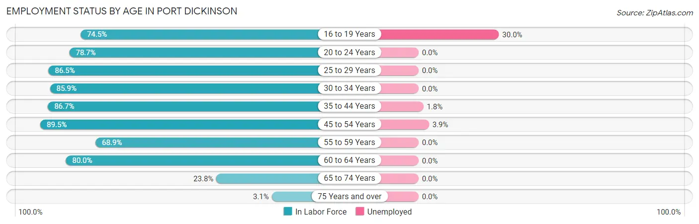 Employment Status by Age in Port Dickinson