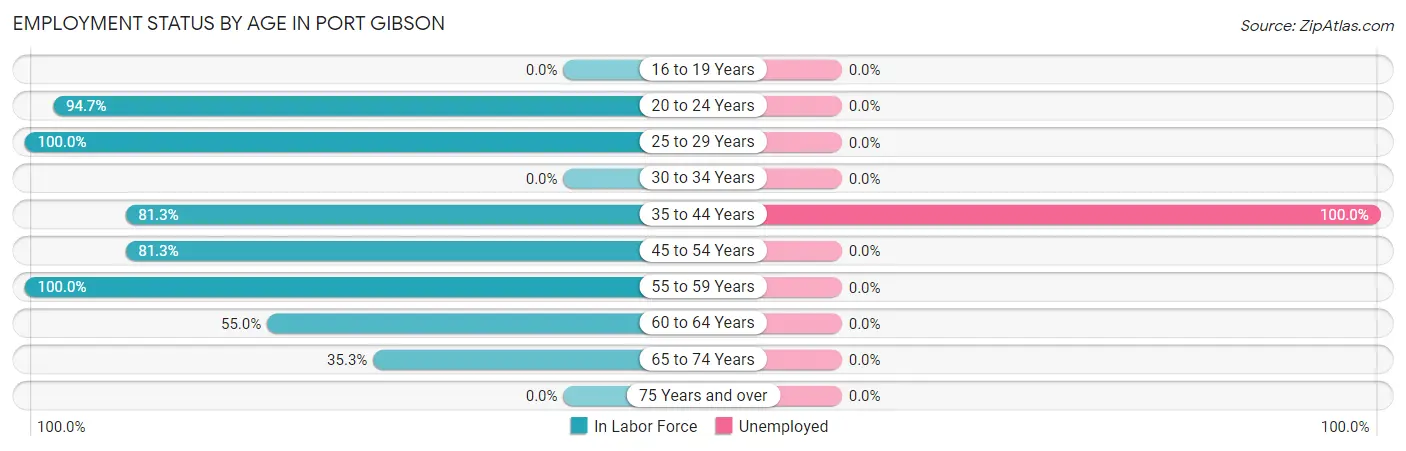 Employment Status by Age in Port Gibson