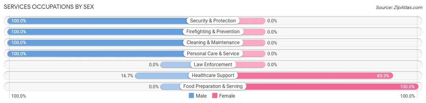 Services Occupations by Sex in Port Henry