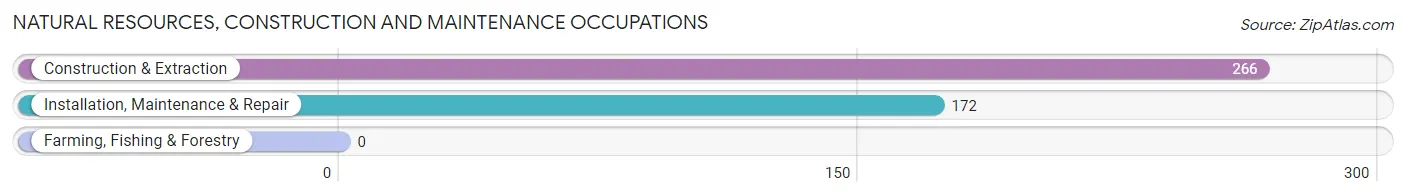 Natural Resources, Construction and Maintenance Occupations in Port Jervis