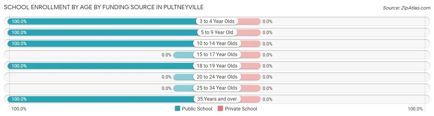 School Enrollment by Age by Funding Source in Pultneyville