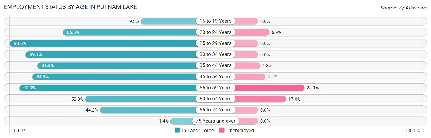 Employment Status by Age in Putnam Lake