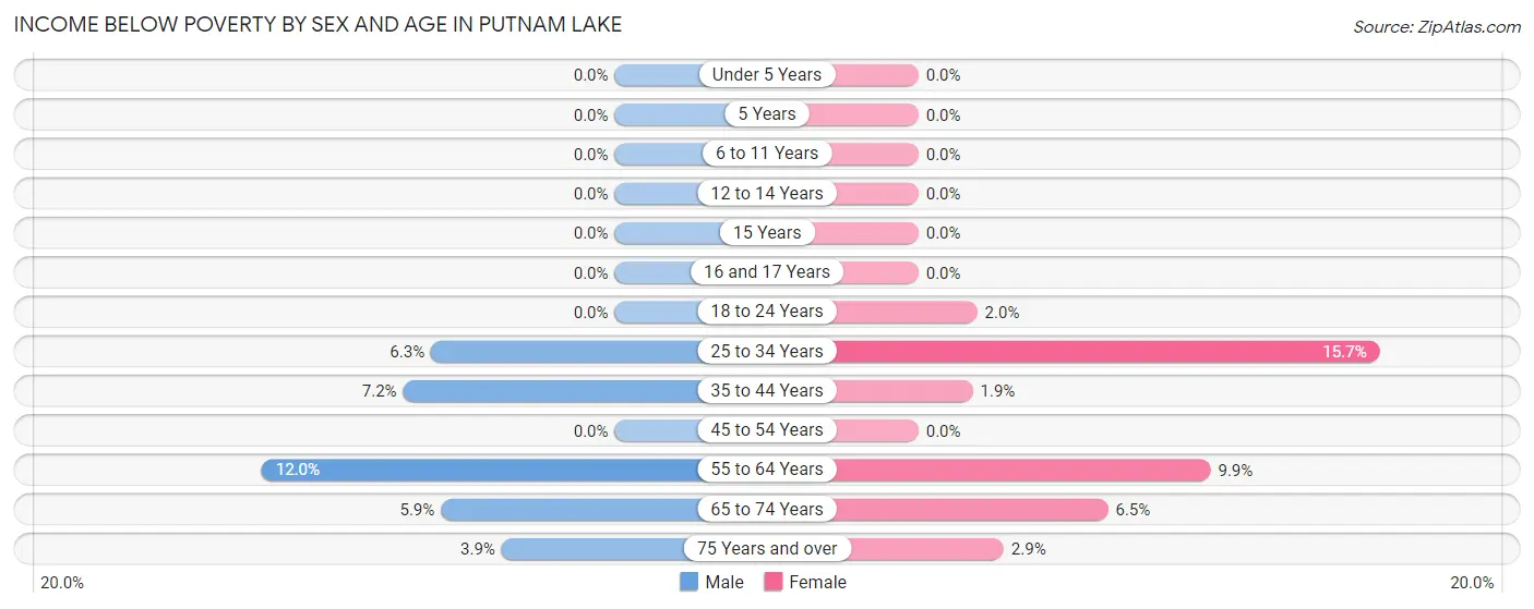Income Below Poverty by Sex and Age in Putnam Lake
