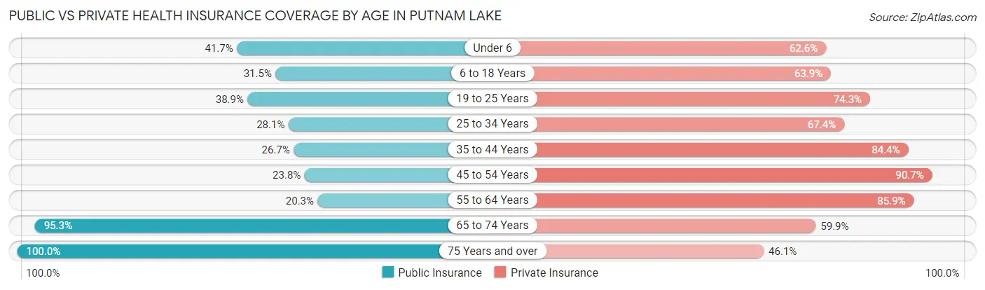 Public vs Private Health Insurance Coverage by Age in Putnam Lake