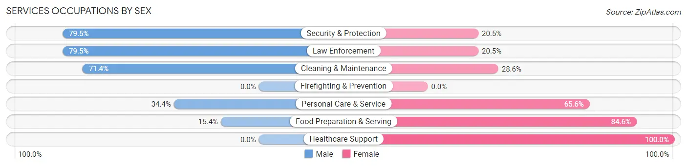 Services Occupations by Sex in Putnam Lake