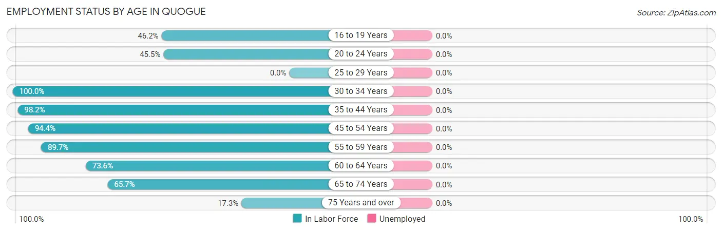 Employment Status by Age in Quogue