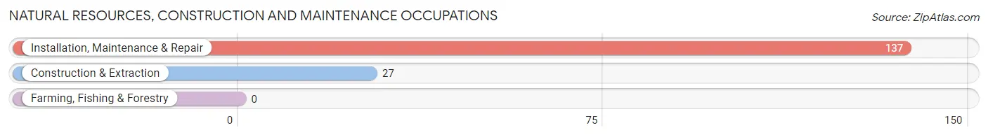 Natural Resources, Construction and Maintenance Occupations in Ravena