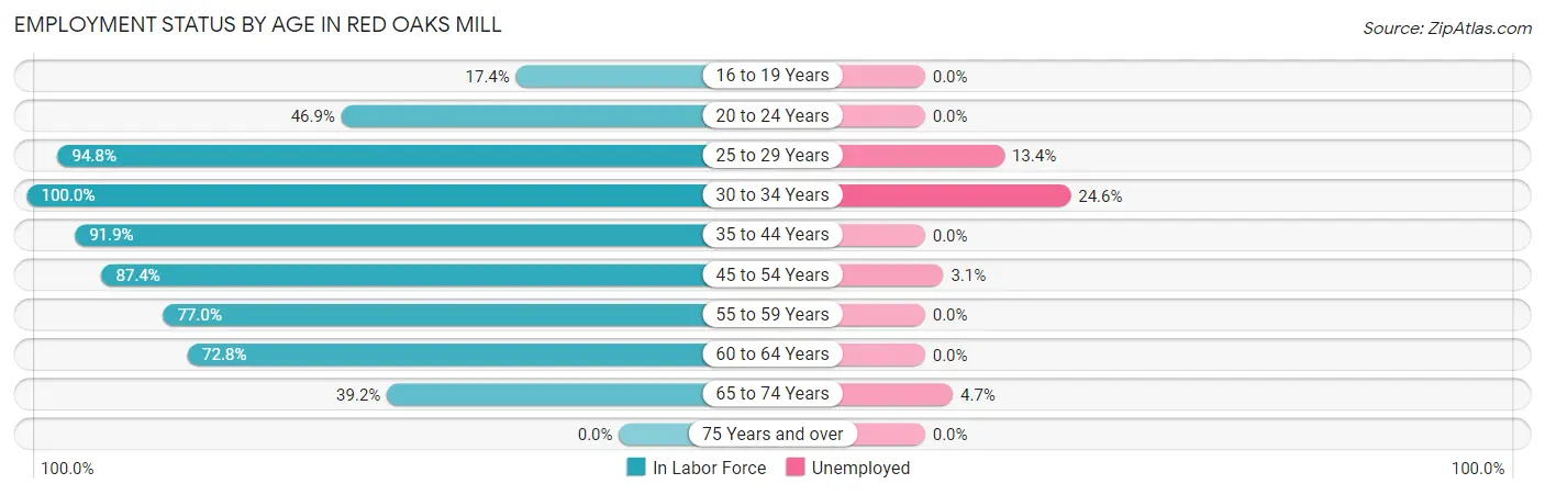 Employment Status by Age in Red Oaks Mill