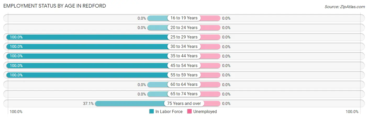 Employment Status by Age in Redford
