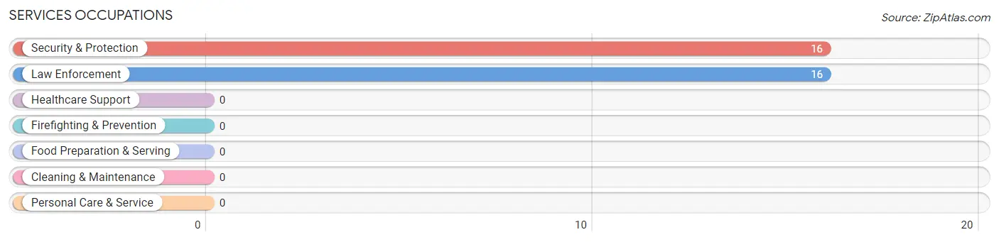 Services Occupations in Redford