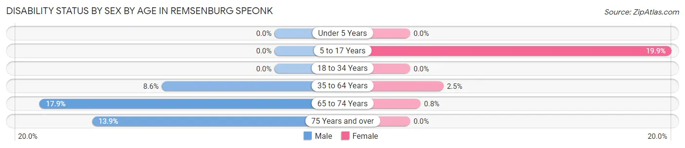 Disability Status by Sex by Age in Remsenburg Speonk