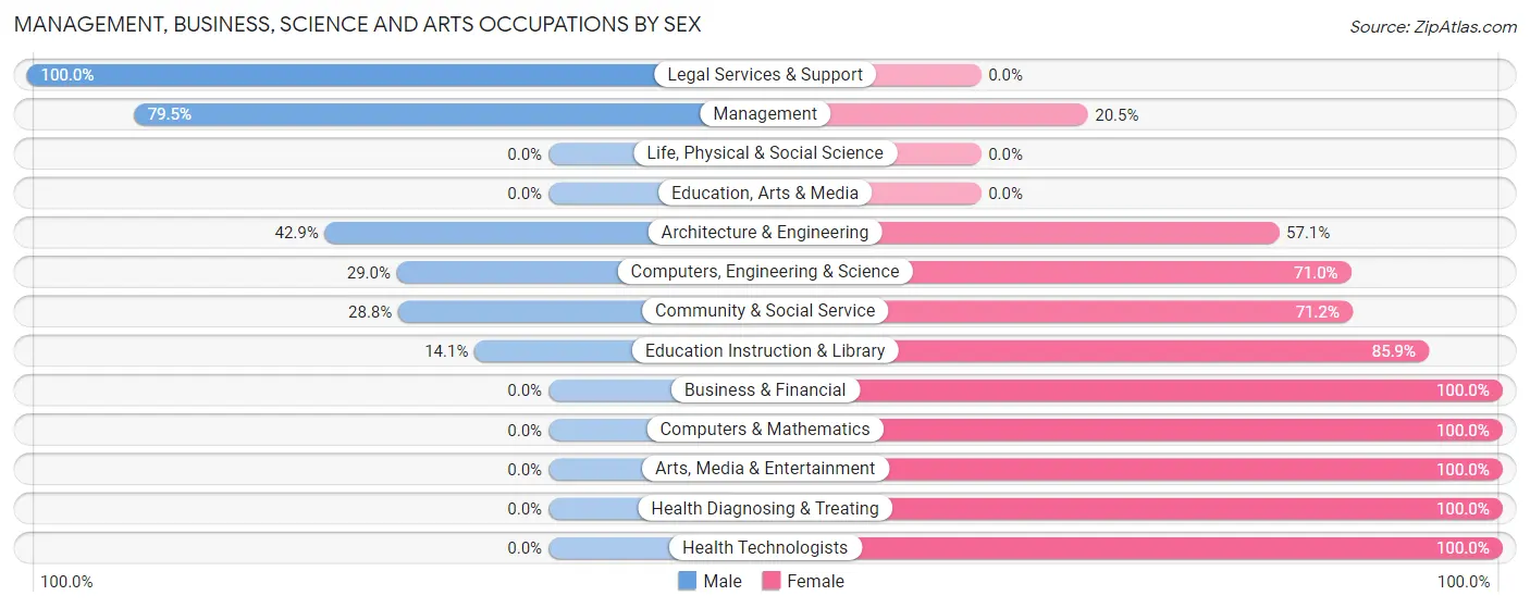 Management, Business, Science and Arts Occupations by Sex in Remsenburg Speonk