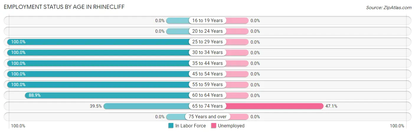 Employment Status by Age in Rhinecliff