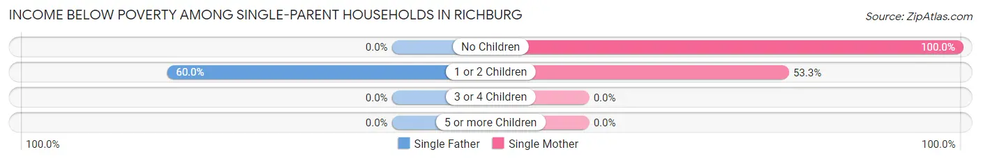 Income Below Poverty Among Single-Parent Households in Richburg