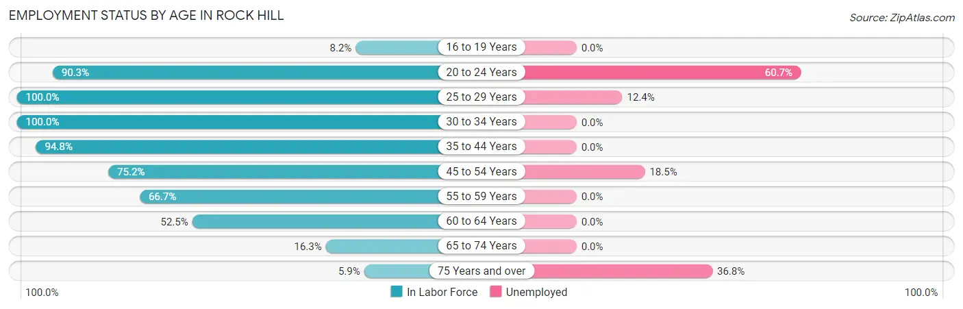 Employment Status by Age in Rock Hill