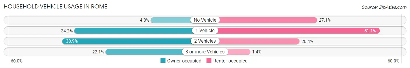 Household Vehicle Usage in Rome