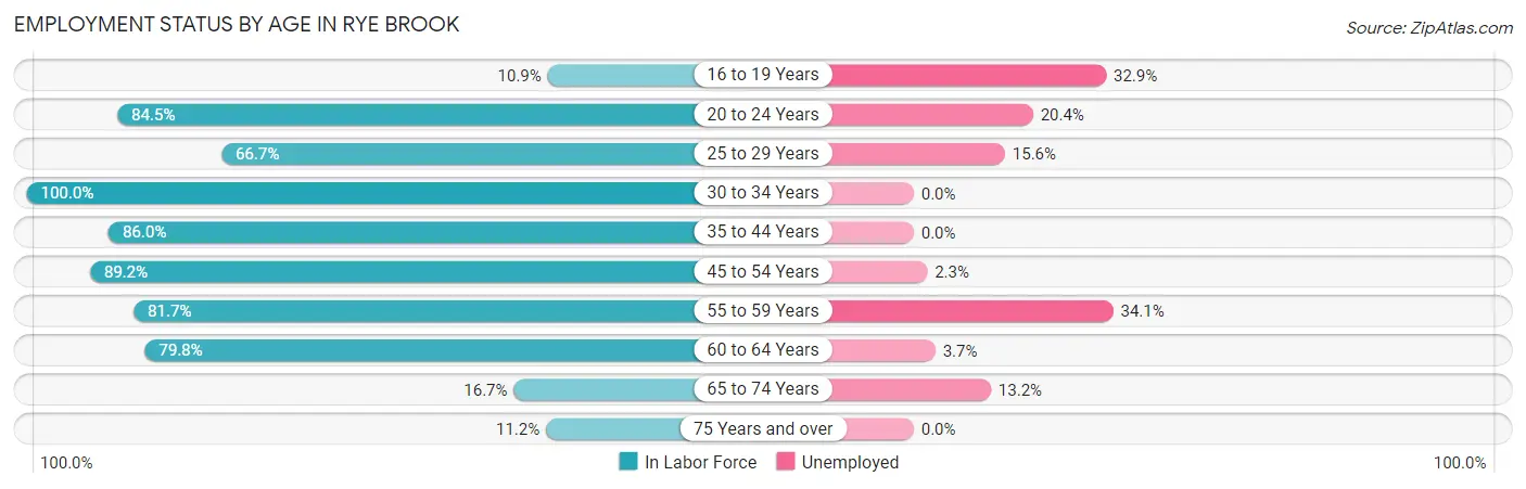 Employment Status by Age in Rye Brook