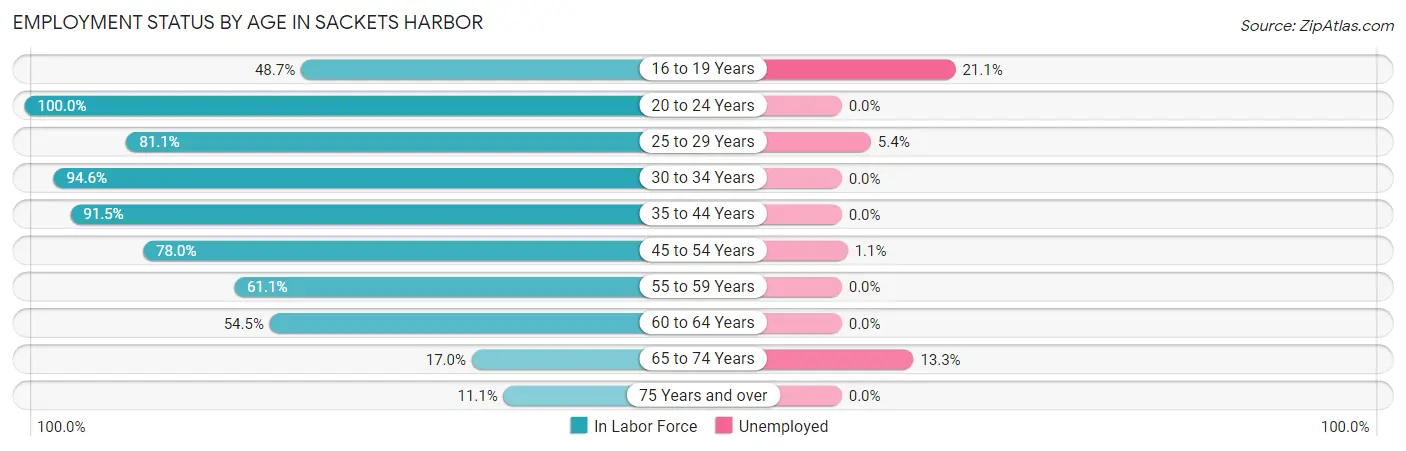 Employment Status by Age in Sackets Harbor