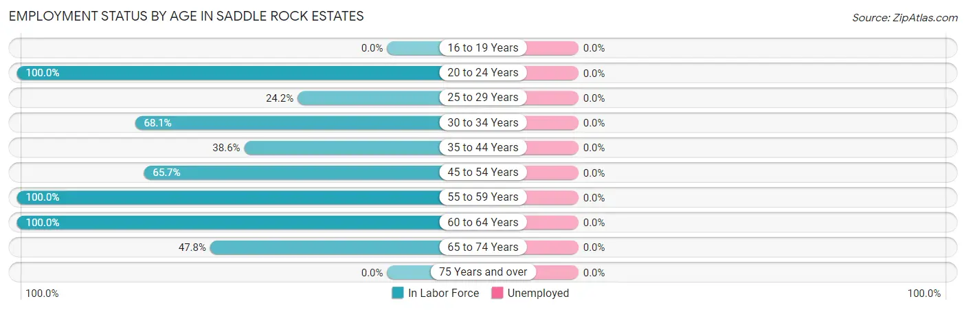Employment Status by Age in Saddle Rock Estates