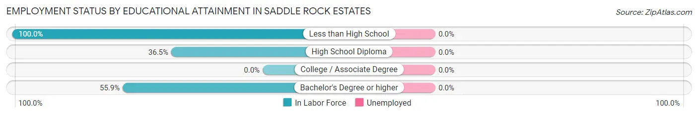 Employment Status by Educational Attainment in Saddle Rock Estates