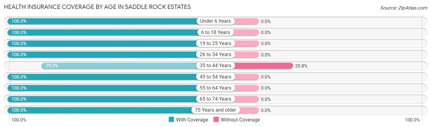 Health Insurance Coverage by Age in Saddle Rock Estates
