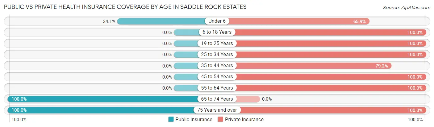 Public vs Private Health Insurance Coverage by Age in Saddle Rock Estates