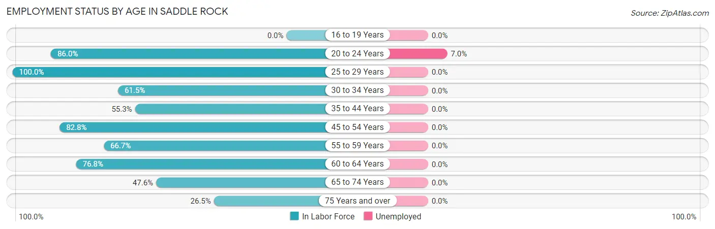 Employment Status by Age in Saddle Rock