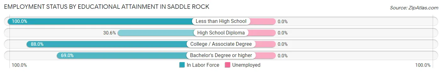 Employment Status by Educational Attainment in Saddle Rock