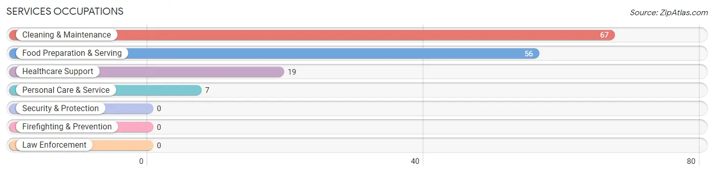 Services Occupations in Sanborn