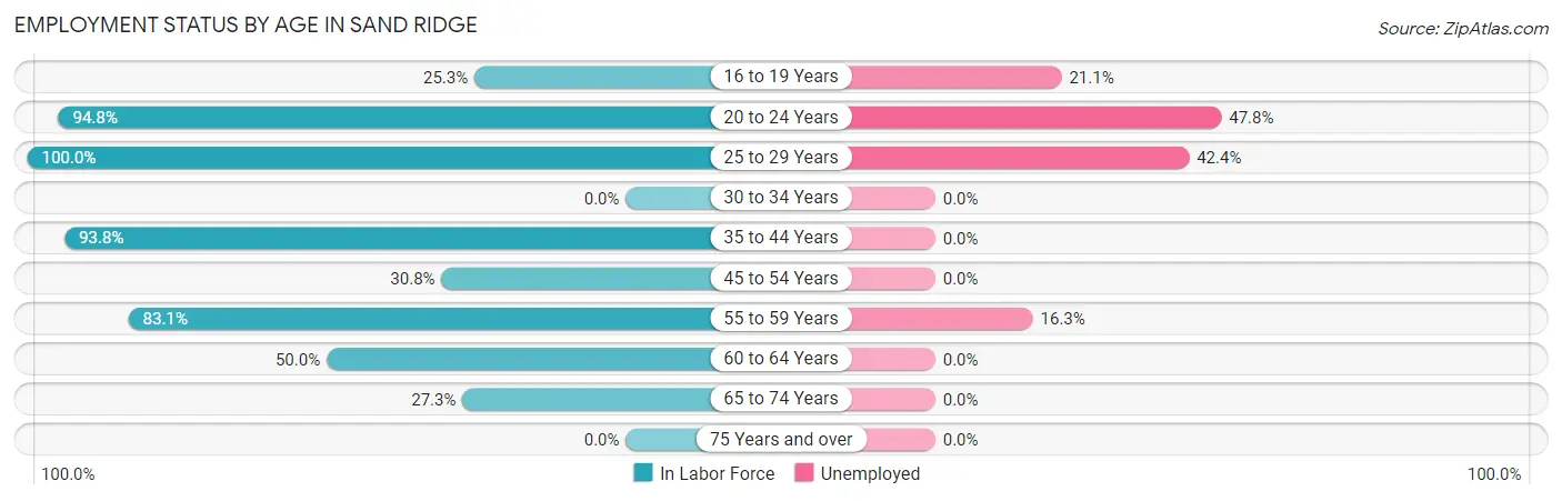 Employment Status by Age in Sand Ridge