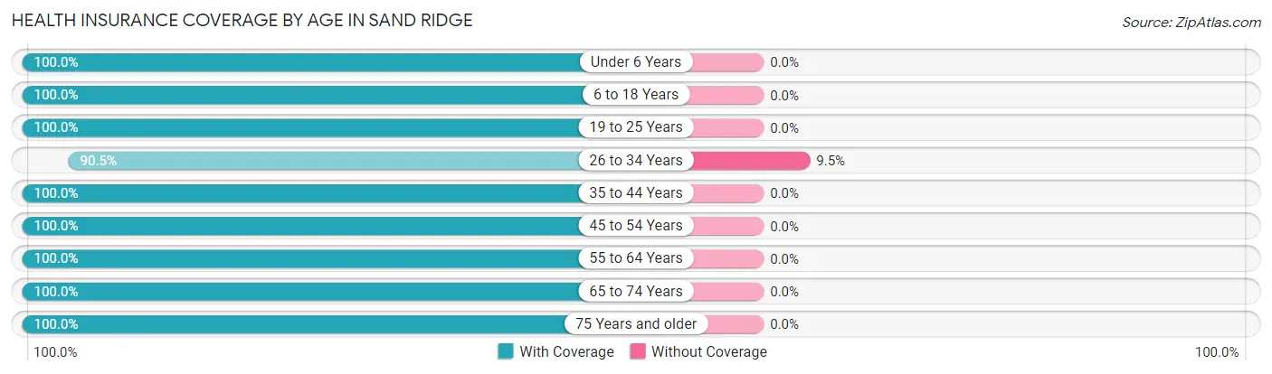 Health Insurance Coverage by Age in Sand Ridge