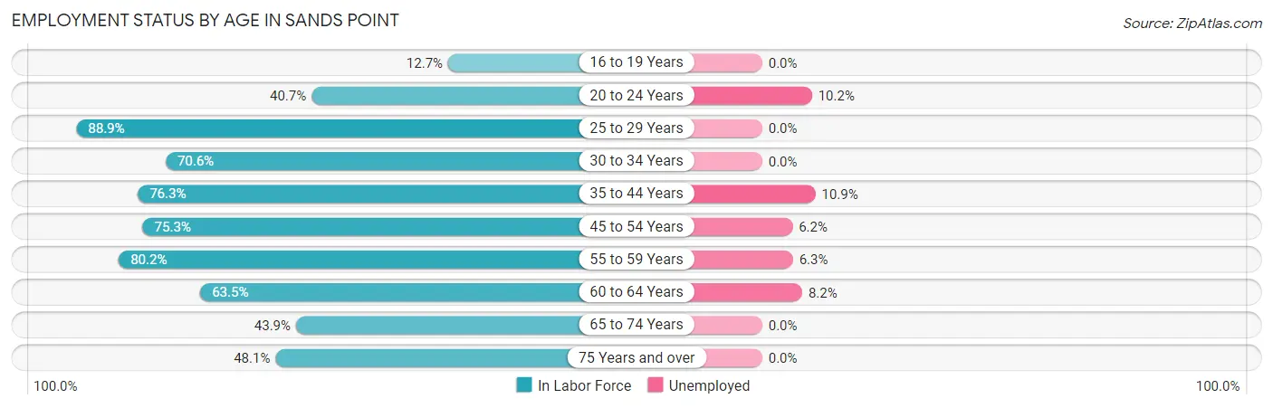 Employment Status by Age in Sands Point