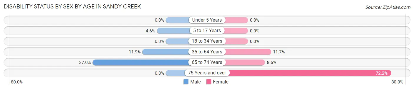 Disability Status by Sex by Age in Sandy Creek