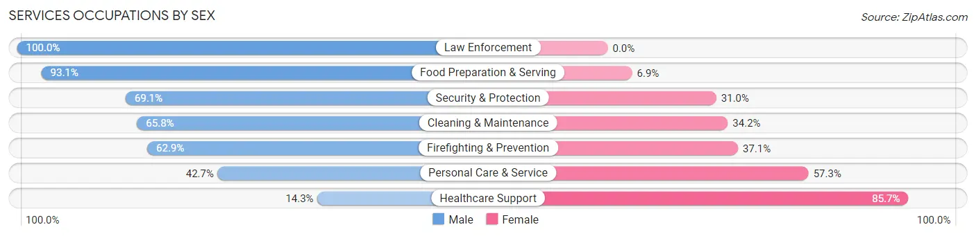 Services Occupations by Sex in Saranac Lake