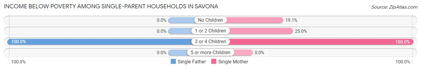Income Below Poverty Among Single-Parent Households in Savona