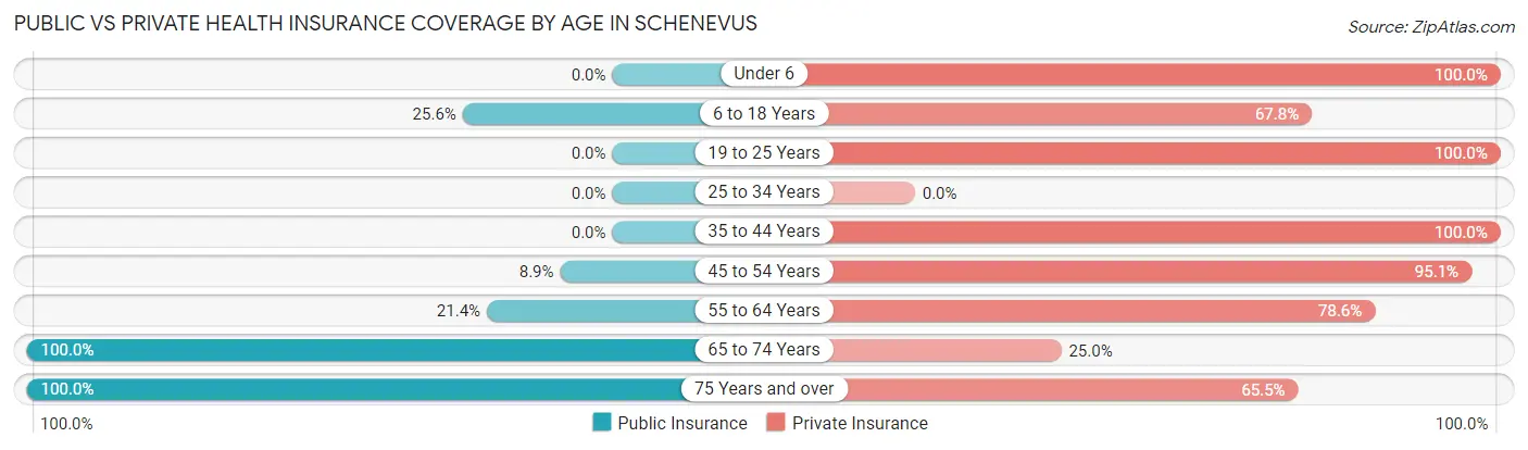 Public vs Private Health Insurance Coverage by Age in Schenevus