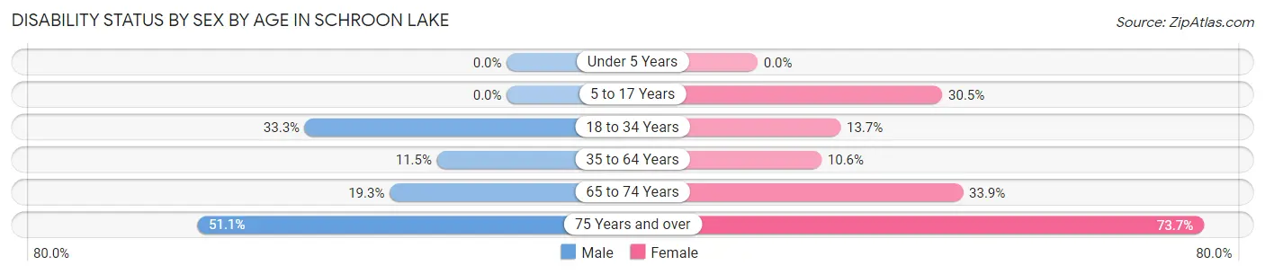 Disability Status by Sex by Age in Schroon Lake