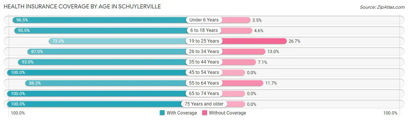 Health Insurance Coverage by Age in Schuylerville