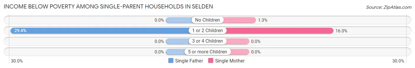 Income Below Poverty Among Single-Parent Households in Selden