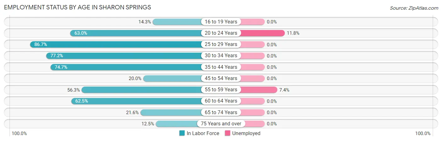 Employment Status by Age in Sharon Springs