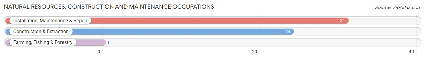 Natural Resources, Construction and Maintenance Occupations in Sherburne