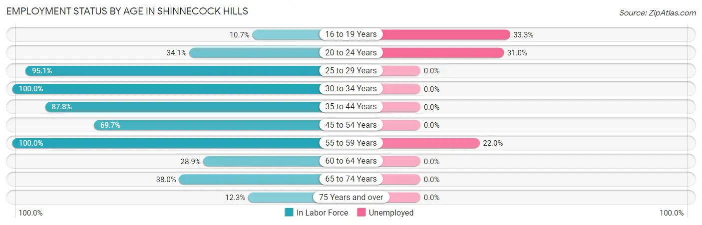 Employment Status by Age in Shinnecock Hills